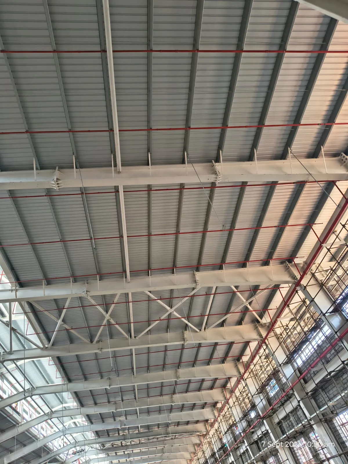 Sprinkler branch lines threaded through the roof bracing at a Pou Chen building